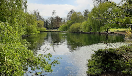 Priory Gardens Orpington | Kitchens near Bromley | Kitchens near Orpington | IN Design Kitchens Hawkhurst 